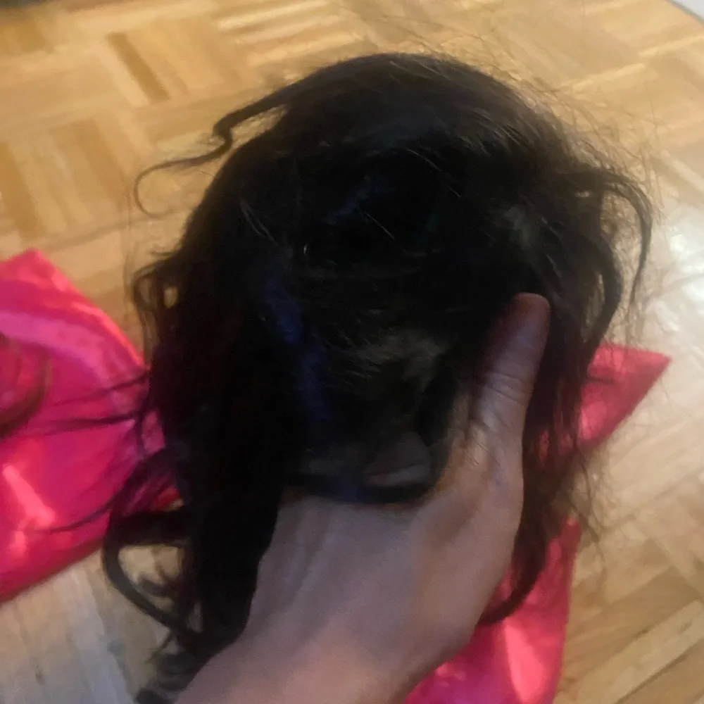 Real human hair caramel Brown Ombre Women's Hair wig. - Picture 3 of 5